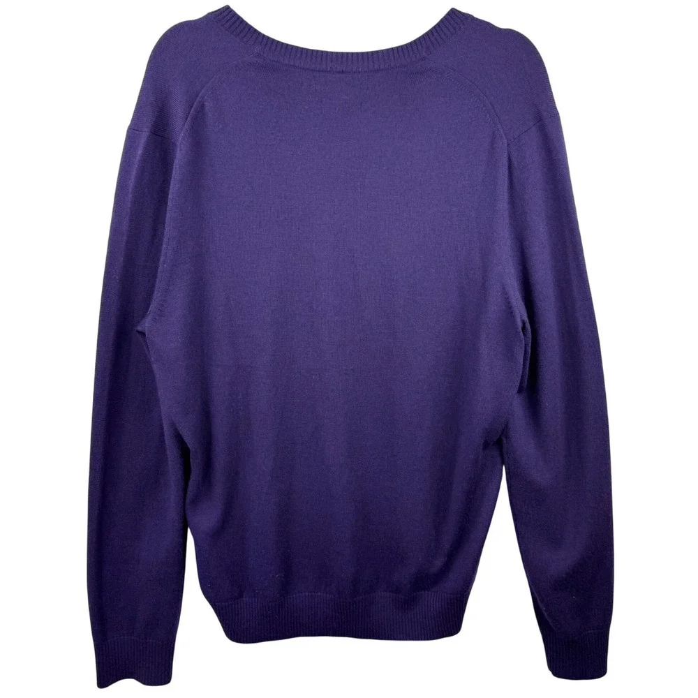 Banana Republic V-Neck Sweater Mens Large Purple Extra Fine Merino Wool Knit